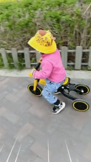 Bicicleta de Equilibrio CHLOENCE